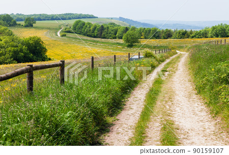 South Downs Way National Trail in Sussex Southern England UK South Downs Way National Trail in Sussex Southern England UK 90159107