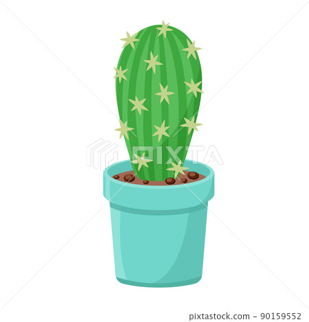 Cactus in flower pot isolated vector illustration Cactus in flower pot isolated vector illustration 90159552