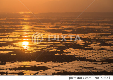 《Niigata Prefecture》 Echigo Plain at dawn 90159831