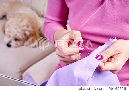 Close-up of the girl rips the seam on the dress using a seam ripper against the background of a Maltipoo puppy lying on the couch Close-up of the girl rips the seam on the dress using a seam ripper against the background of a Maltipoo puppy lying on the couch 90160226