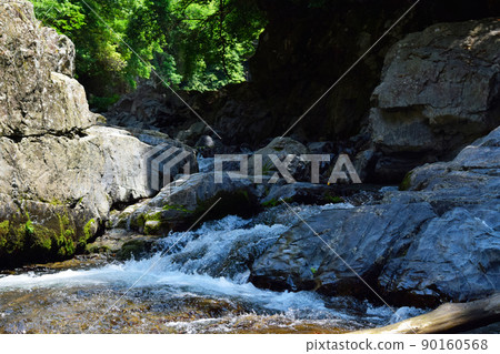 forest, river, landscape 90160568