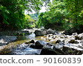 river, summer, scenery 90160839
