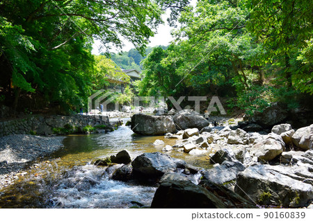 river, summer, scenery 90160839