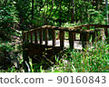forest, bridge, girl 90160843