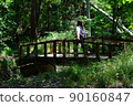 forest, tree, bridge 90160847