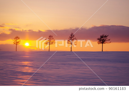 Winter fairy tale hills 90161183