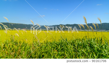 Rural scenery of Aso (Autumn sunny, rice harvesting, Aso rice) (Autumn) Japan, Kyushu, Aso City, Kumamoto Prefecture Rural scenery of Aso (Autumn sunny, rice harvesting, Aso rice) (Autumn) Japan, Kyushu, Aso City, Kumamoto Prefecture 90161706