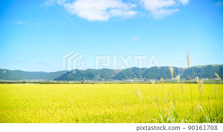 Rural scenery of Aso (Autumn sunny, rice harvesting, Aso rice) (Autumn) Japan, Kyushu, Aso City, Kumamoto Prefecture Rural scenery of Aso (Autumn sunny, rice harvesting, Aso rice) (Autumn) Japan, Kyushu, Aso City, Kumamoto Prefecture 90161708