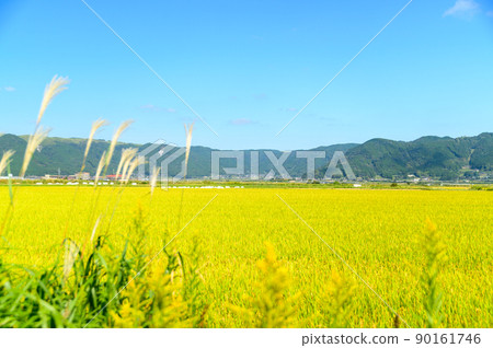 阿甦的鄉村風光（秋天陽光明媚，水稻收穫，阿蘇水稻）（秋天）日本，九州，熊本縣阿蘇市 90161746