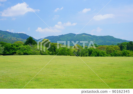 5月，奈良公園，飛日野綠化 90162345