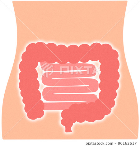 健康的腸道 健康的腸道 90162617