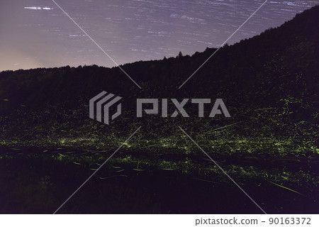 [Summer image] Firefly dance 90163372