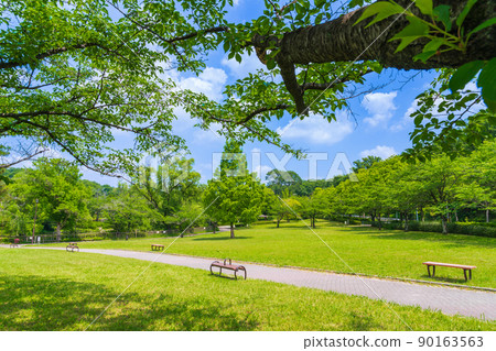 Fresh green peace park <Nagoya City, Aichi Prefecture> 90163563