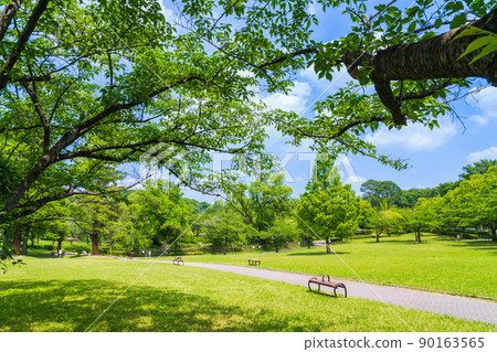 新綠和平公園<愛知縣名古屋市> 90163565