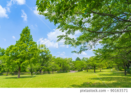 Fresh green peace park <Nagoya City, Aichi Prefecture> 90163571