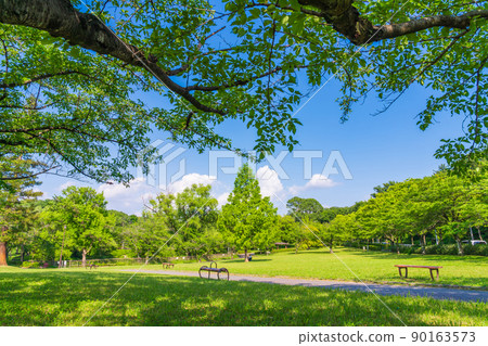 Fresh green peace park <Nagoya City, Aichi Prefecture> 90163573