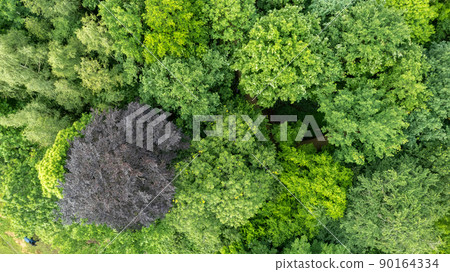 Summer in forest aerial top view. Mixed forest, green deciduous trees. Soft light in countryside Summer in forest aerial top view. Mixed forest, green deciduous trees. Soft light in countryside 90164334