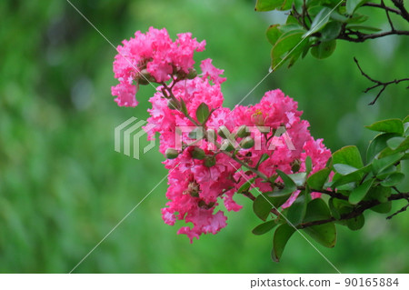 盛夏閃耀在蔚藍的天空 90165884