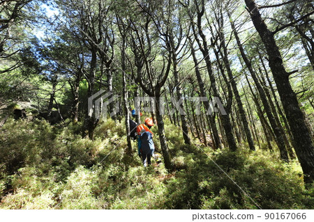 台灣高山登山健行 中央山脈南一段 登山冒險 90167066
