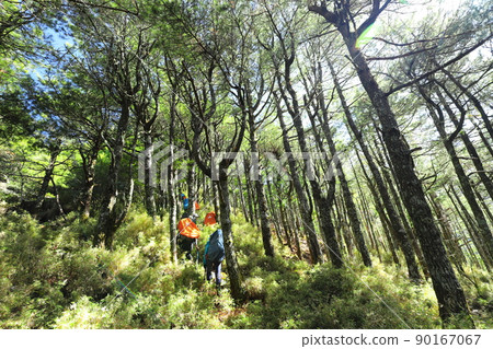 台灣高山登山健行 中央山脈南一段 登山冒險 90167067
