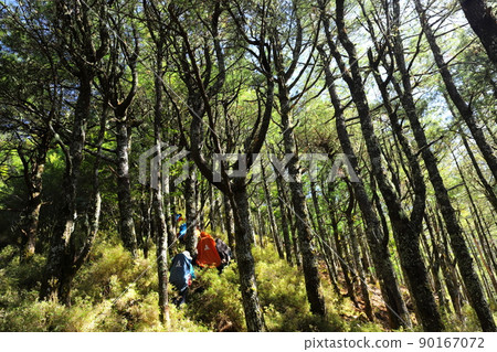 台灣高山登山健行 中央山脈南一段 登山冒險 台灣高山登山健行 中央山脈南一段 登山冒險 90167072
