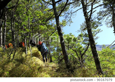 台灣高山登山健行 中央山脈南一段 登山冒險 90167079