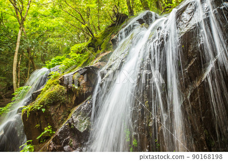 Kyoto Prefecture Kanabiki Falls 90168198