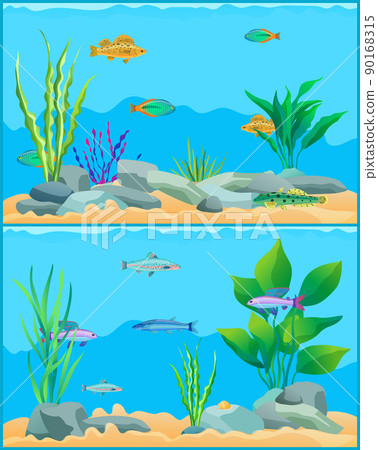 Colorful Cartoon Aquarium Fishes Set Promo Poster - Stock Illustration  [90168315] - PIXTA
