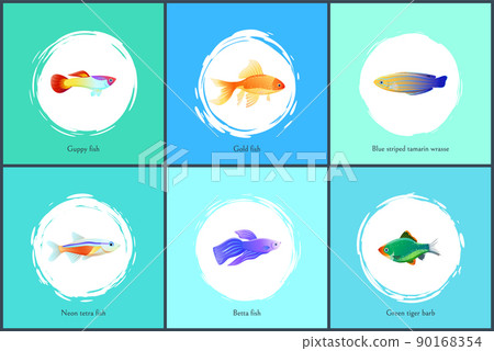 Neon Tetra Fish Blue Tamarin Vector Illustration 90168354