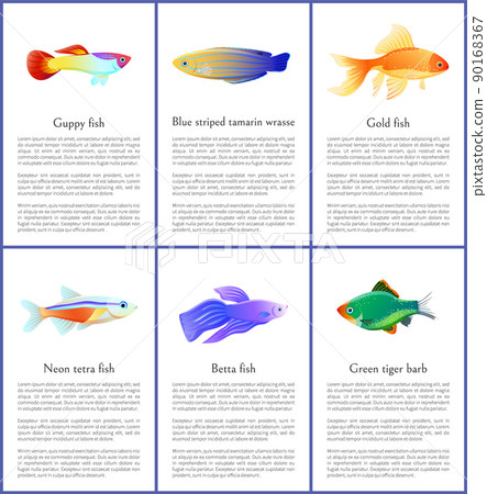 Set of Saltwater Inhabitant Vector Illustrations Set of Saltwater Inhabitant Vector Illustrations 90168367