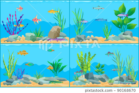 Colorful Cartoon Aquarium Fishes Set Promo Poster Colorful Cartoon Aquarium Fishes Set Promo Poster 90168670