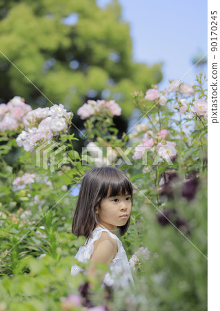 Elementary school girl in a flower field (7 years old) Elementary school girl in a flower field (7 years old) 90170245