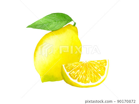 Lemon drawn in transparent watercolor Lemon drawn in transparent watercolor 90170872