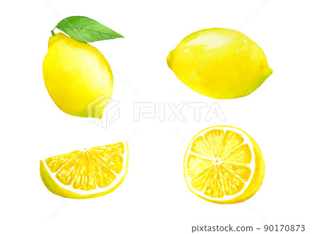 Lemon set vector drawn in transparent watercolor 90170873