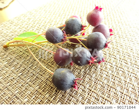 Juneberry fruit 90171844