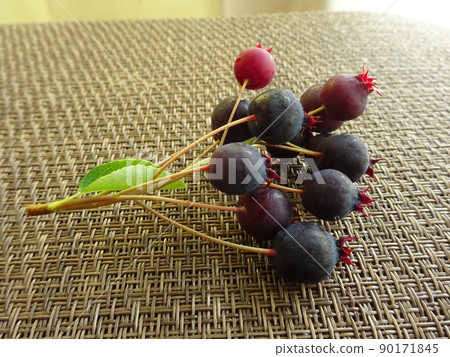 六月莓果 90171845