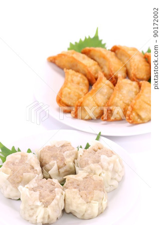Large shumai fried dumplings bright background Large shumai fried dumplings bright background 90172002