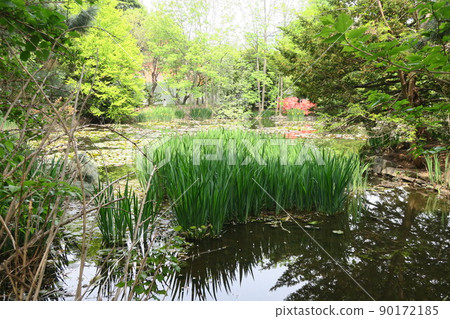 Landscape of the waterside in the garden of the Hokkaido Government Office of Sapporo City Landscape of the waterside in the garden of the Hokkaido Government Office of Sapporo City 90172185