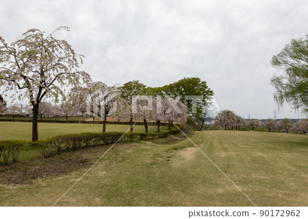 尼霍廣場 90172962