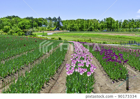 Hirugano Plateau, in the pastoral village garden (late May) 90173334