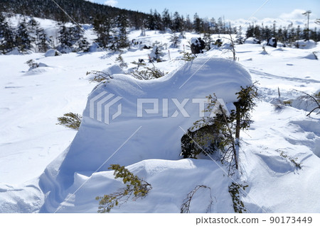 Snow piled up over the trees in the winter mountains (Kitayokodake Tsuboniwa Nature Park, Chino City, Nagano Prefecture) Snow piled up over the trees in the winter mountains (Kitayokodake Tsuboniwa Nature Park, Chino City, Nagano Prefecture) 90173449