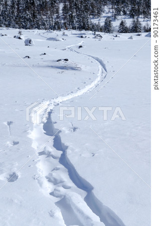 Snowy mountain trail (Kitayokodake Tsuboniwa Nature Park, Chino City, Nagano Prefecture) Snowy mountain trail (Kitayokodake Tsuboniwa Nature Park, Chino City, Nagano Prefecture) 90173461