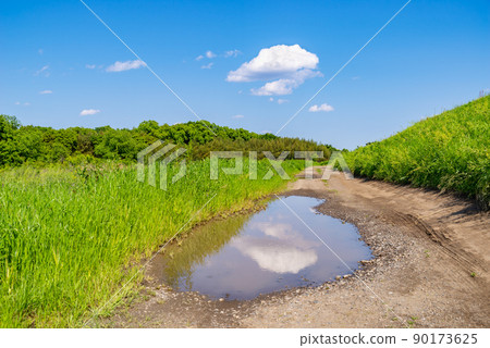 雨後水坑和未鋪砌的道路 初夏自然綠 b-1 低角度 雨後水坑和未鋪砌的道路 初夏自然綠 b-1 低角度 90173625