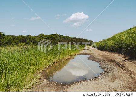 Puddle after rain and unpaved road Natural green in early summer b-3 Low angle retro feeling 90173627