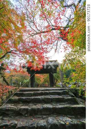 Autumn leaves of Akitsuki 90173728