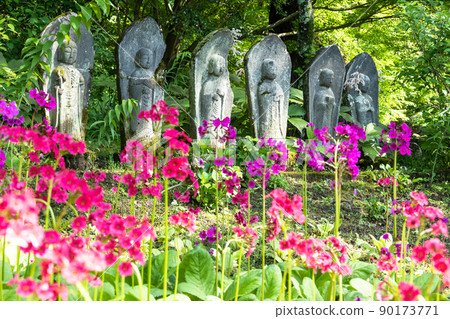 Japanese primrose and Rokujizo 90173771
