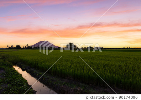 Beautiful scenery of rural nature with a green field in the area near Bangkok. With a sunrise sky as a background, Nonthaburi, Thailand Beautiful scenery of rural nature with a green field in the area near Bangkok. With a sunrise sky as a background, Nonthaburi, Thailand 90174096