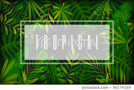 Tropical dense foliage trendy banner card dark flat style. Luxury background elite black screen saver template promotional organic exotic cosmetics. Themed party invitation card beauty salon visit Tropical dense foliage trendy banner card dark flat style. Luxury background elite black screen saver template promotional organic exotic cosmetics. Themed party invitation card beauty salon visit 90174169