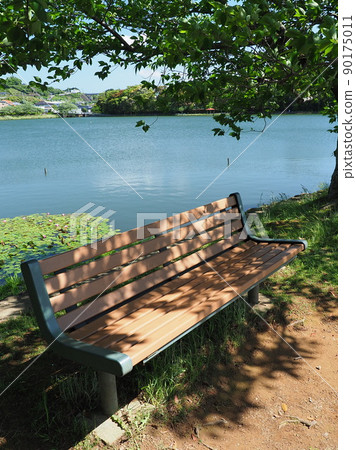 Ikedako Park (Omura City, Nagasaki Prefecture) Ikedako Park (Omura City, Nagasaki Prefecture) 90175011