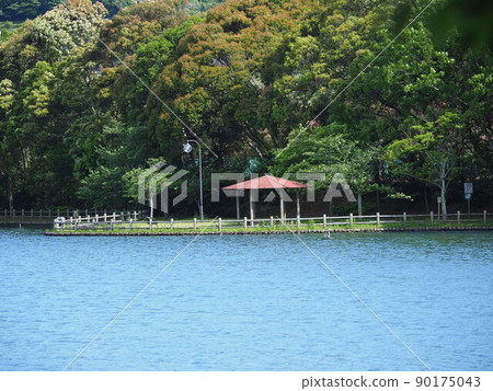 池田湖公園（長崎縣大村市） 90175043